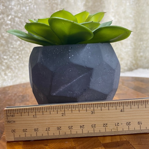 Faux Succulent, in 3”H circular pot (2 available for individual purchase) - Picture 6 of 11